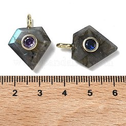 Ограненные подвески из натурального лабрадорита&nbsp;G-F819-03G-06