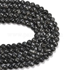 Натуральные нити бус из ларвикита&nbsp;G-C280-B06-10mm