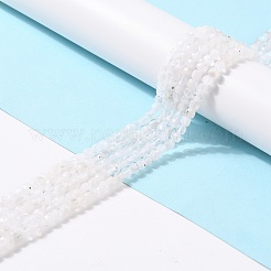 Бусины из натурального радужного лунного камня G-K315-A11