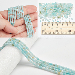 2 нити натуральных цветочных бусин амазонита нити G-NB0005-79