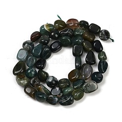 Природные моховой агат бисер нитей&nbsp;LS-G-Q060-D10