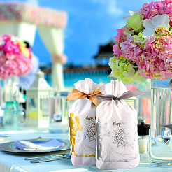 20 шт. 2-цветные прямоугольные пластиковые подарочные пакеты для конфет ABAG-TA0001-35