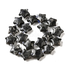 Натуральные нити бус из ларвикита G-U023-C01-09