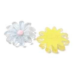 Прозрачные смолы кабошоны CRES-I046-04