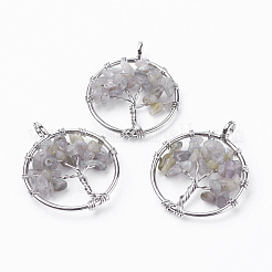 Природные подвески лабрадорита&nbsp;X-G-E419-16P