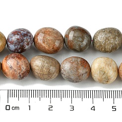 Природные окаменелые коралловые бусы пряди&nbsp;G-G117-A01-01