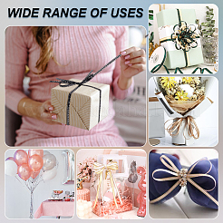 Полиэфирные ленты&nbsp;SRIB-WH0011-219A-02