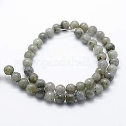 Природные лабрадорита бисер нитей&nbsp;G-I199-15-8mm