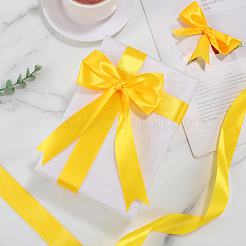 Полиэфирные ленты&nbsp;OCOR-WH20018-30A