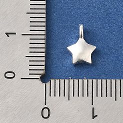 925 серебряный шарм STER-G043-05A-S