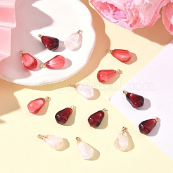 15шт 3 цвета подвески из смолы&nbsp;RESI-YW0006-02