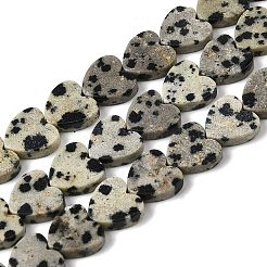 Природные яшмы далматин бисер нитей G-M403-A31-03