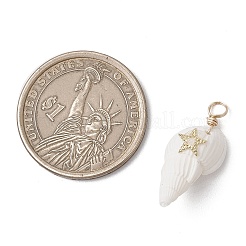 6шт 6 стиля подвески из натуральных ракушек&nbsp;PALLOY-JF03882