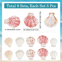 40 шт. бусины из натуральной ракушки-гребешка&nbsp;SSHEL-SP0001-02