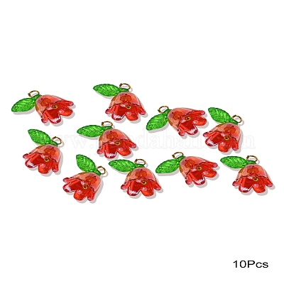 Акриловые кулон PALLOY-YW027-01-1