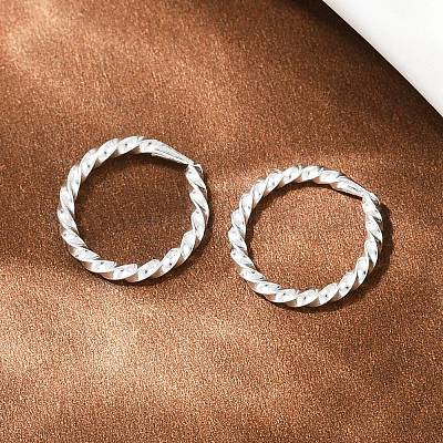 Серьги-кольца из латуни с витым кольцом EJEW-F378-01S-1