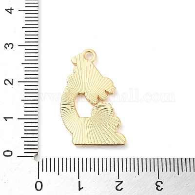 Подвески из эмали и сплава&nbsp;ENAM-R146-03C-1