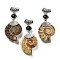 Natural Black Agate Fossil Snail Pendants, with Alloy Findings, Platinum Metal Color, 58~78x29~35x8~9mm, Hole: 4x6mm