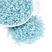 Drawbench Style Glass Seed Beads SEED-N008-11I