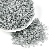 Drawbench Style Glass Seed Beads SEED-N008-11J