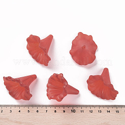 Прозрачные акриловые бусины&nbsp;X-BSF796-C12