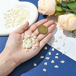 Акриловый кабошоны MRMJ-T063-217