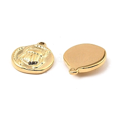 Подвески из нержавеющей стали 304 STAS-A089-21G