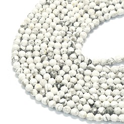 Природные Говлит бисер нитей G-A260-A25-01