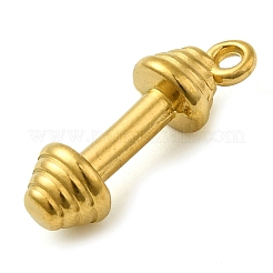 Ионное покрытие (ip) подвески из нержавеющей стали 304 STAS-M070-18G