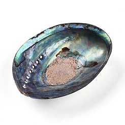 Бусины из натуральной ракушки пауа SSHEL-Q298-22