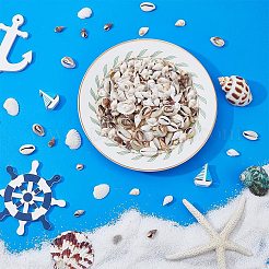 7 набор из натуральных ракушечных бусин BSHE-FH0001-02