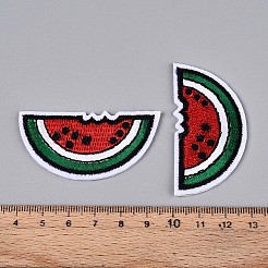 Аппликации из арбуза&nbsp;DIY-N007-02