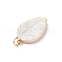 Подвески из натуральных пресноводных ракушек в виде листьев&nbsp;PALLOY-JF04190