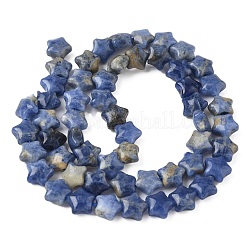 Нити бусин из натурального содалита в форме звезды G-Z080-A09