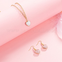 12 шт. 6 стильные гальванические подвески из натуральных драгоценных камней&nbsp;G-LS0002-09