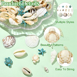 Наборы для самостоятельного изготовления панциря морской черепахи и морской звезды&nbsp;DIY-YW0017-07