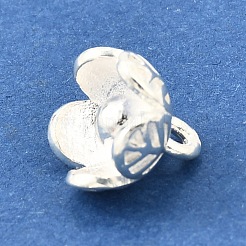 Подвески из стерлингового серебра s925 STER-Q006-04S