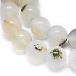 Нити из натурального дендритного агата G-D0005-18-10mm