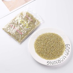 (доступна услуга переупаковки) круглые стеклянные бусины SEED-C016-3mm-162