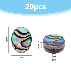 20 шт. бусины из ракушек абалона/пауа SSHEL-FI0001-03