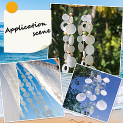 48 шт. 3 стиля Capiz shell звенья/соединители&nbsp;SHEL-SC0001-73