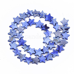 Нити бусин из пресноводных ракушек&nbsp;SHEL-S276-31B