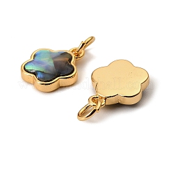 Подвески-звезды из натуральной ракушки пауа KK-G538-28G