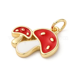 Латунь эмаль подвески KK-Q098-15G-01C