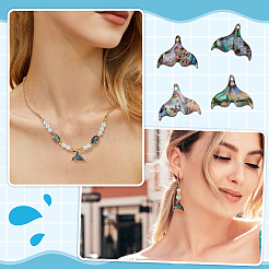 16 шт. подвески в виде хвоста кита из натуральной ракушки пауа SHEL-BC0001-045