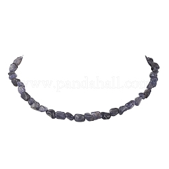 Женские бусины из натуральных самородков иолита&nbsp;NJEW-JN05829