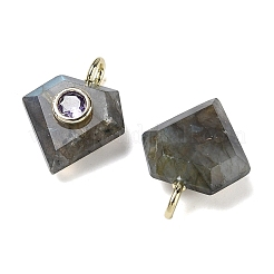 Ограненные подвески из натурального лабрадорита&nbsp;G-F819-03G-06