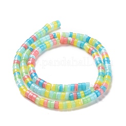 Природные trochid бусы нити&nbsp;SSHEL-G023-02C-01