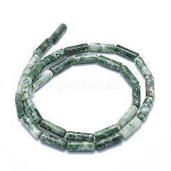 Натуральные зеленые пятна яшмовых нитей G-F631-D13