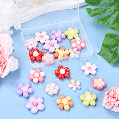 20шт 10 стиля подвески из смолы&nbsp;RESI-YW0002-07